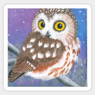 Northern Saw Whet Owl Sticker